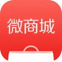 新军创奇迹！山东蜜獾首季即进季后赛